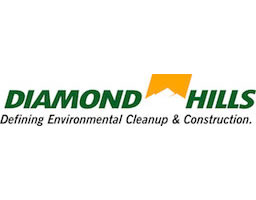 Custom made logo for Diamond Hills Construction