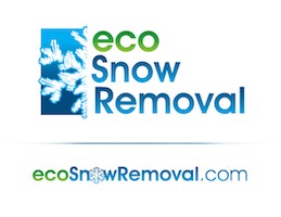 Eco Snow Removal custom logo designed by professional graphic designers.